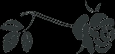 The Rose Establishment